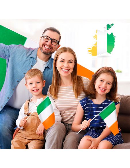 Lot de 6 Mini Drapeaux Irlande sur Tige - 14 x 21 cm