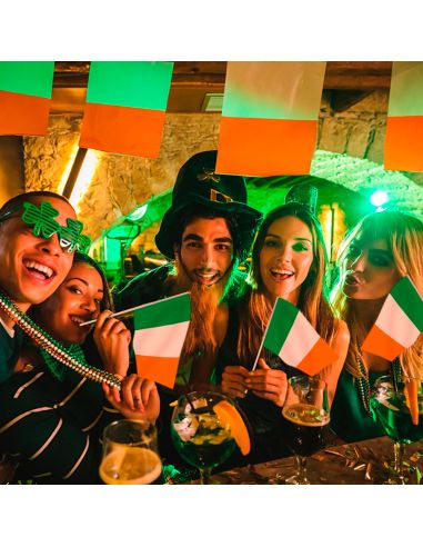 Lot de 6 Mini Drapeaux Irlande sur Tige - 14 x 21 cm