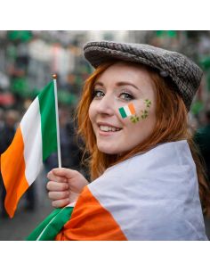 Lot de 6 Mini Drapeaux Irlande sur Tige - 14 x 21 cm 2