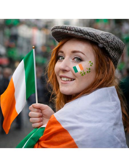 Lot de 6 Mini Drapeaux Irlande sur Tige - 14 x 21 cm