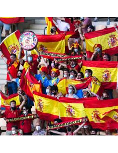 Drapeau Officiel Espagne 150 x 90 cm - Pavillon Supporters La Roja avec Œillets de Fixation 2