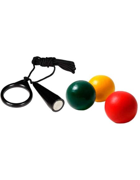 B09W9H2GH6 - Lot de 3 Cochonnets Fluo + ramasse boule TB-P949