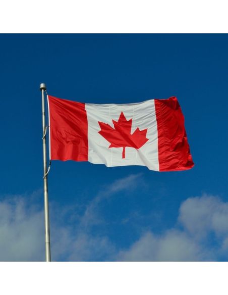 Drapeau National Haute Résistance 150x90cm avec Œillets – Qualité Premium pour Décoration Intérieure & Extérieure