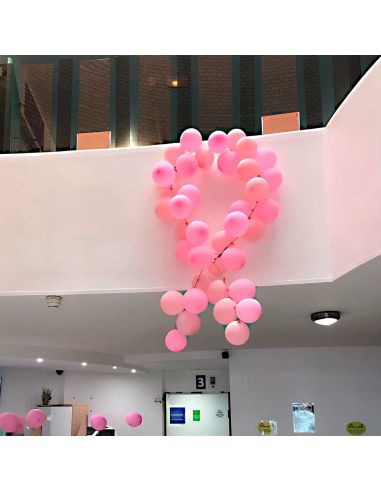 Sachet de 20 Ballons Rose - Dimensions : 30 x 30 cm
