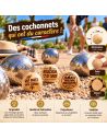 Lot de 3 Cochonnets de Pétanque en Bois Poli avec Message